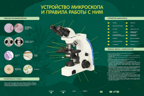 Электрифицированный стенд "Устройство микроскопа и правила работы c ним" - fgospostavki.ru - Обнинск