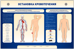 Электрифицированный стенд-тренажер "Остановка кровотечения" - fgospostavki.ru - Обнинск