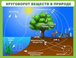 Стенд "Круговорот веществ" - fgospostavki.ru - Обнинск