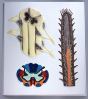 Модель барельефная "Строение спинного мозга" - fgospostavki.ru - Обнинск