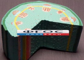 Модель "Стебель растения" - fgospostavki.ru - Обнинск