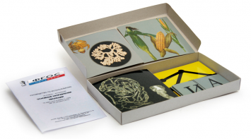 Модель-аппликация "Основные направления эволюции" (набор из 33 карт) - fgospostavki.ru - Обнинск