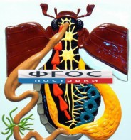 Модель барельефная "Внутреннее строение жука" - fgospostavki.ru - Обнинск