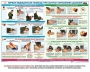 Комплект плакатов "Оказание первой доврачебной медицинской помощи" - fgospostavki.ru - Обнинск