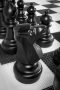 Напольные фигуры шахматные гигантские 61 - fgospostavki.ru - Обнинск