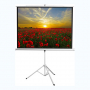 Экран на штативе DSKD-4303 - fgospostavki.ru - Обнинск