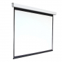 Экран настенный с электроприводом DSEF-16909 - fgospostavki.ru - Обнинск